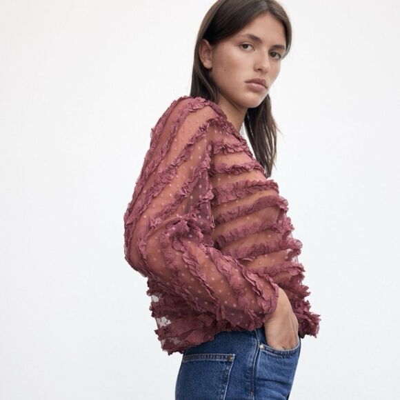 Zara tulle sheer ruffle blouse - Picture 5 of 6